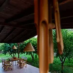 Holiday home Tzitzikari, Private In A Citrus Garden *