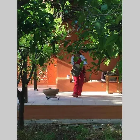 Tzitzikari, Private In A Citrus Garden Holiday home *