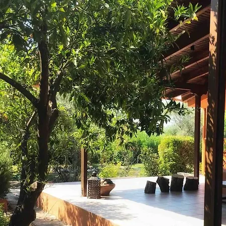 Tzitzikari, Private In A Citrus Garden Kato Melidhoni