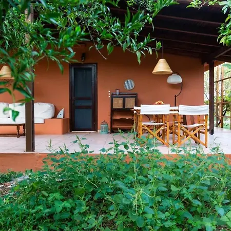 Tzitzikari, Private In A Citrus Garden