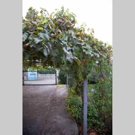 Tzitzikari, Private In A Citrus Garden * Kato Melidhoni