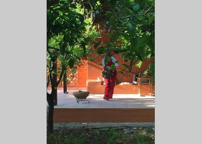 Tzitzikari, Private In A Citrus Garden Σπίτι διακοπών *