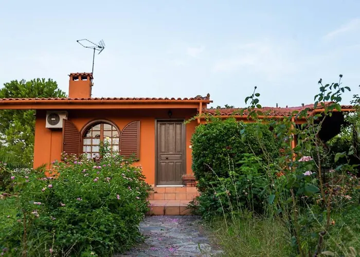 Tzitzikari, Private In A Citrus Garden Κάτω Μελιδόνι