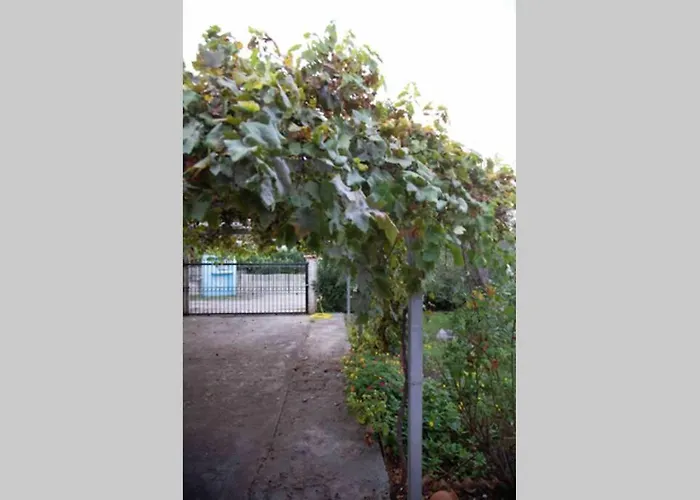 Tzitzikari, Private In A Citrus Garden * Κάτω Μελιδόνι